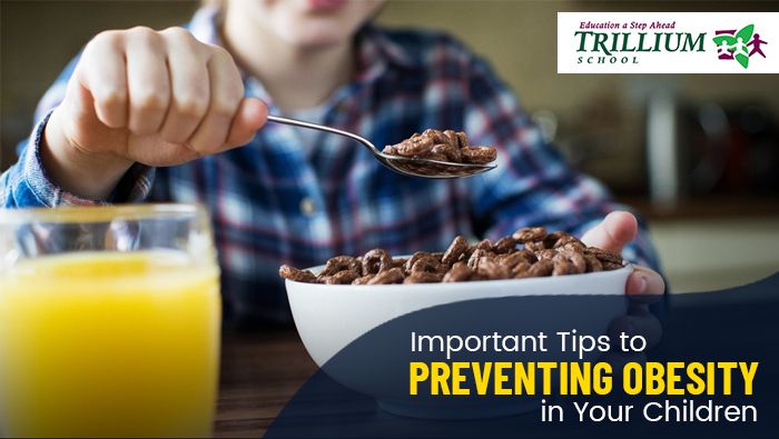 Important Tips to Preventing Obesity in Your Children