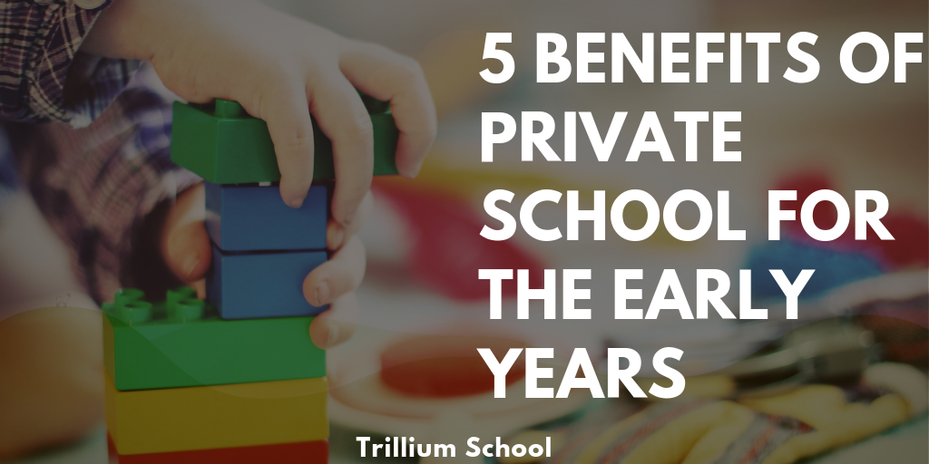 Private School Benefits